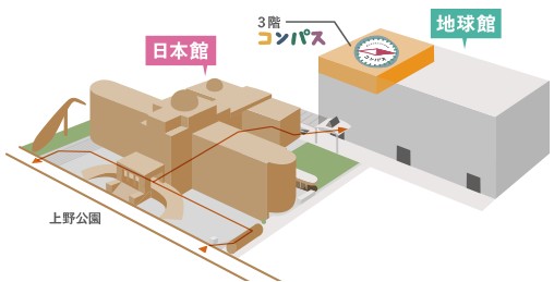 出典： 国立科学博物館「親と子のたんけんひろば コンパス」 （キャプチャ画像）